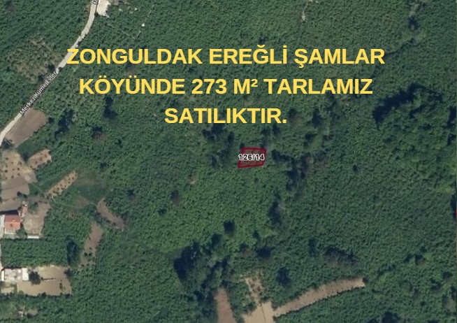 ZONGULDAK EREĞLİ ŞAMLAR KÖYÜNDE 273 M² TARLAMIZ SATILIKTIR. - ZONGULDAK EREĞLİ fotoğraf 3
